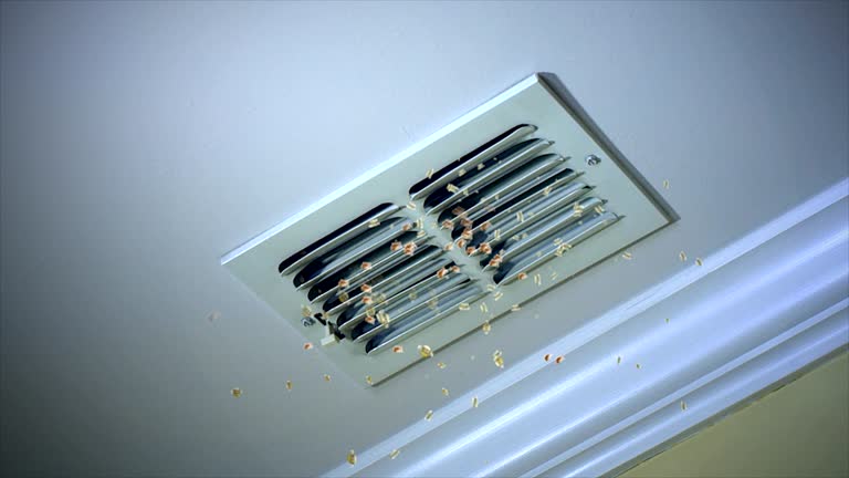 Best Best Air Duct Cleaning Near Me  in Carbon Cliff, IL