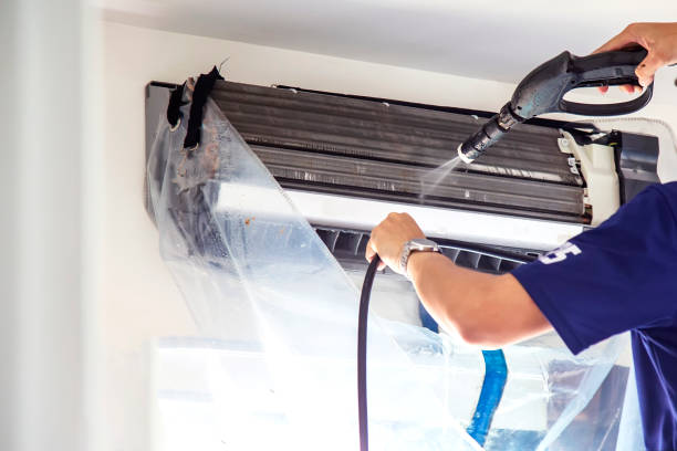 Best Air Duct Mold Removal  in Carbon Cliff, IL