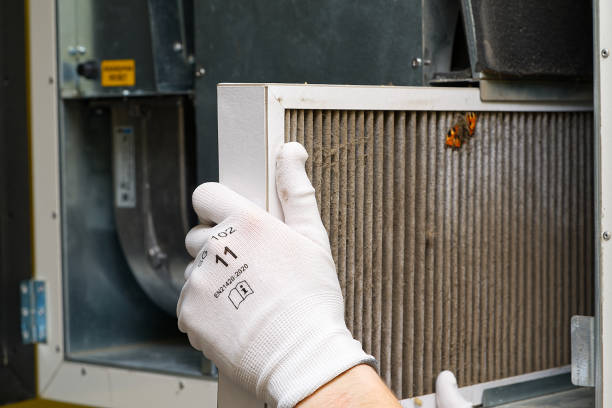 Best Air Duct Cleaning Near Me  in Carbon Cliff, IL