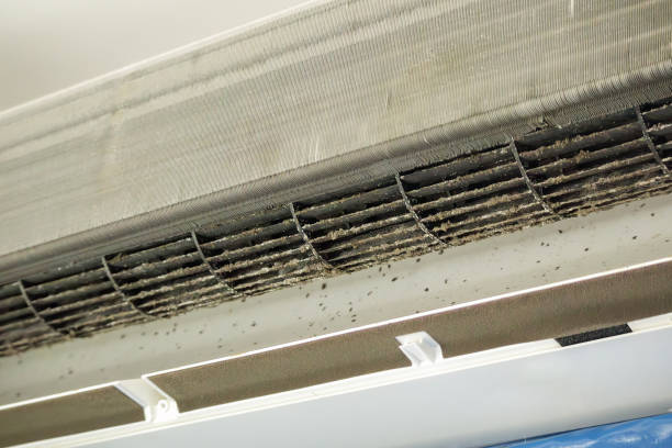 Best Affordable Duct Cleaning Services  in Carbon Cliff, IL
