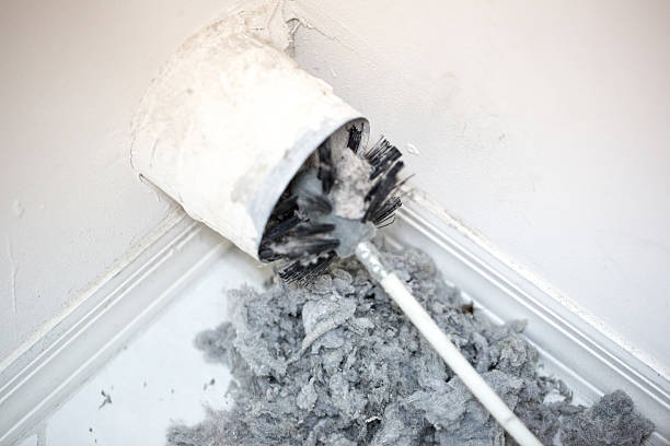 Best Affordable Duct Cleaning Services  in Carbon Cliff, IL