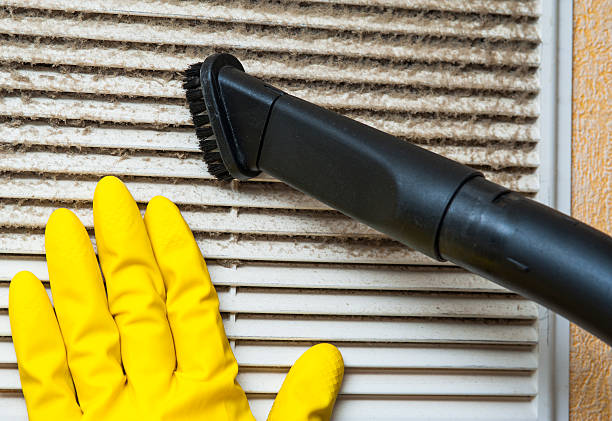 Best Affordable HVAC Duct Cleaning  in Carbon Cliff, IL